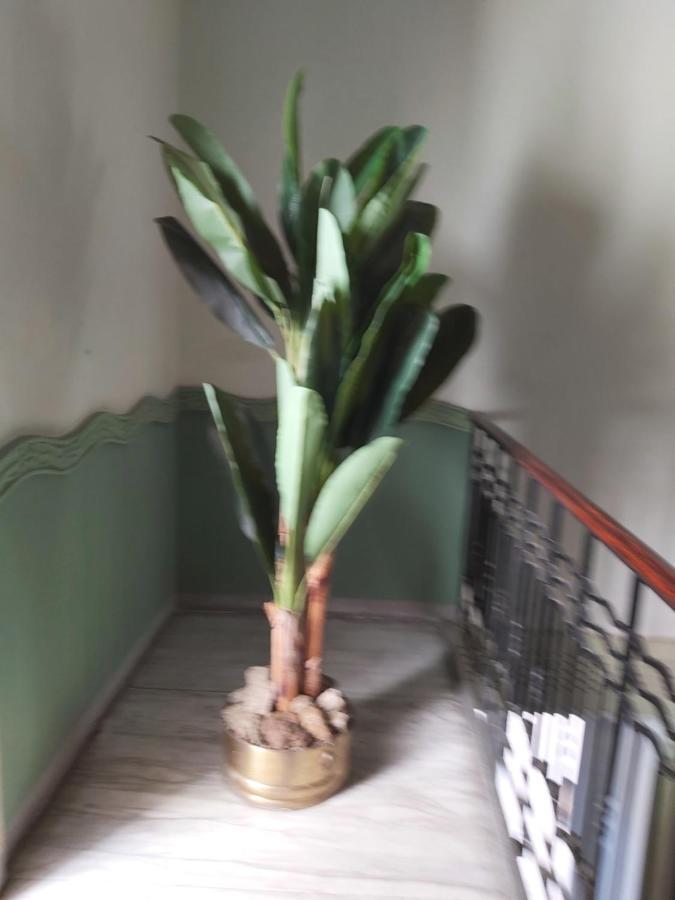 Costa E Mare Appartement Savona Buitenkant foto